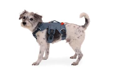 Ruffwear Web Master Harness Slate Blue Gr. M